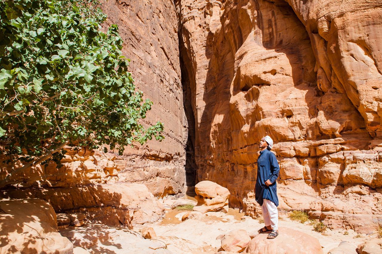 Arabian Nights Hotel Wadi Rum Exterior photo